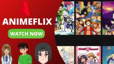 Photo of Animeflix | Animeflix offline | Anime flix 2021 – Use animeflix for Downloading Anime Movies 2021