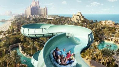 Photo of Best places for your family vacations in Dubai