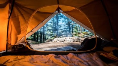 Photo of A Checklist for a Camping Trip With Your Family