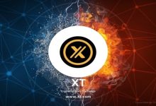 Photo of Why To Trade With XT After Checking XT.com Review?