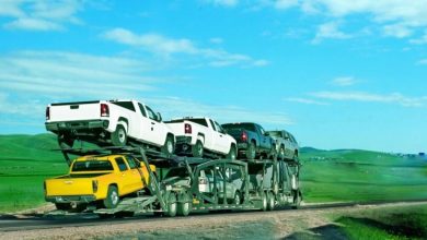 Photo of Flexible Car Transport – The Cheapest Way to Ship a Car