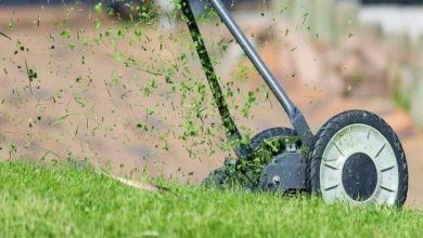 Photo of Explore Why Lawn Care Services are Worth It