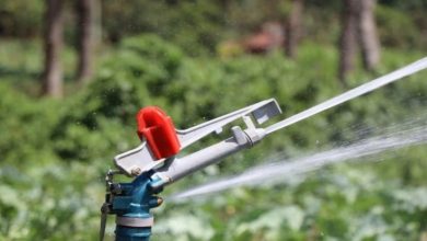 Photo of Top Benefits Worthy to Account For Before a Rain Gun Sprinkler Purchase