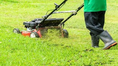 Photo of Why Honda 4 in 1 brush cutter is Regarded as the Best Hand Grass Cutter Machine