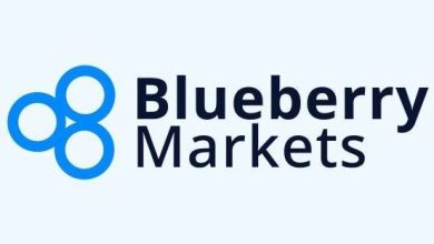 Photo of Blueberry markets review 2022